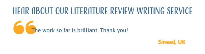 Custom literature review service