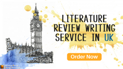custom literature review writers