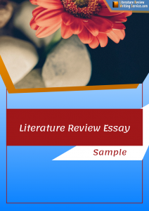 how to make a literature review essay